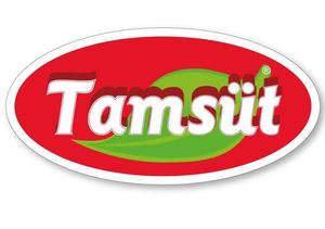 Tamsüt